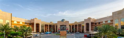 ajman university undergraduate programs|College of Humanities and Sciences.